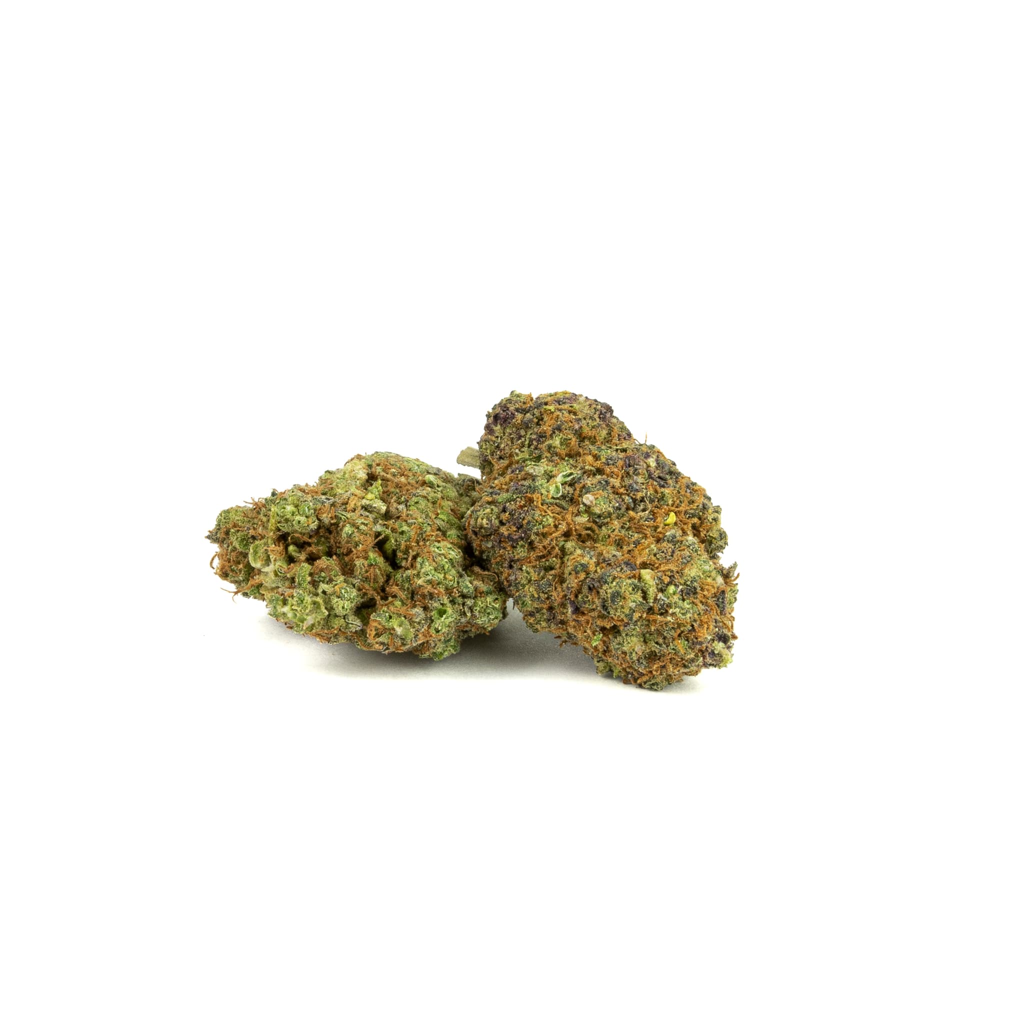 Exodus cheese