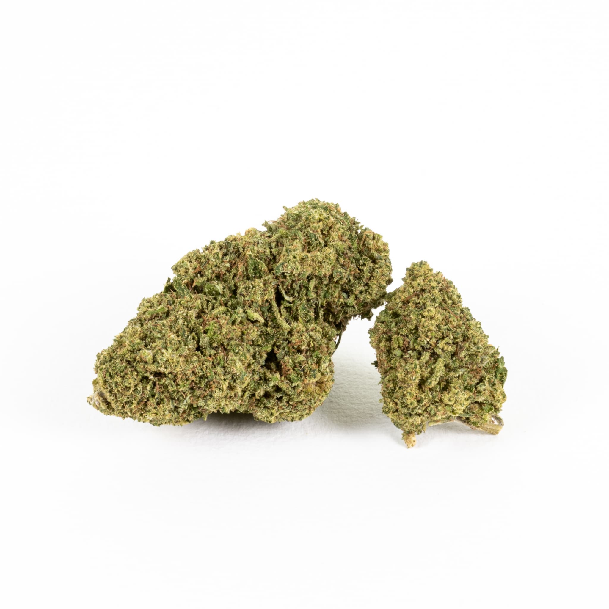 Tropicana Greenhouse