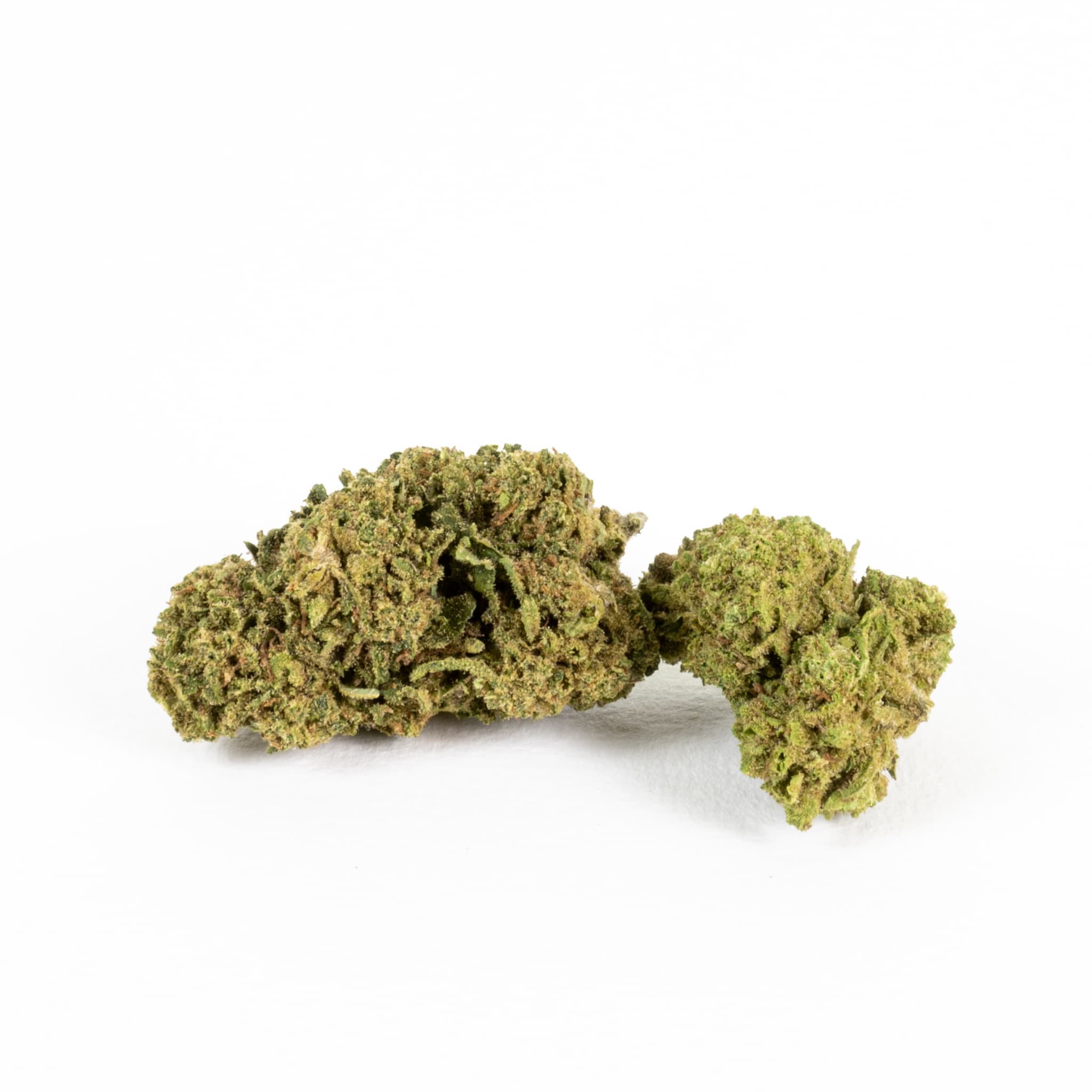 Marley berry