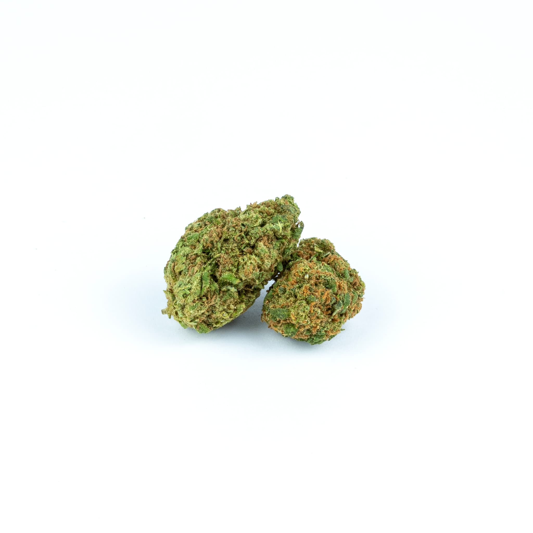 Tropical OG mini