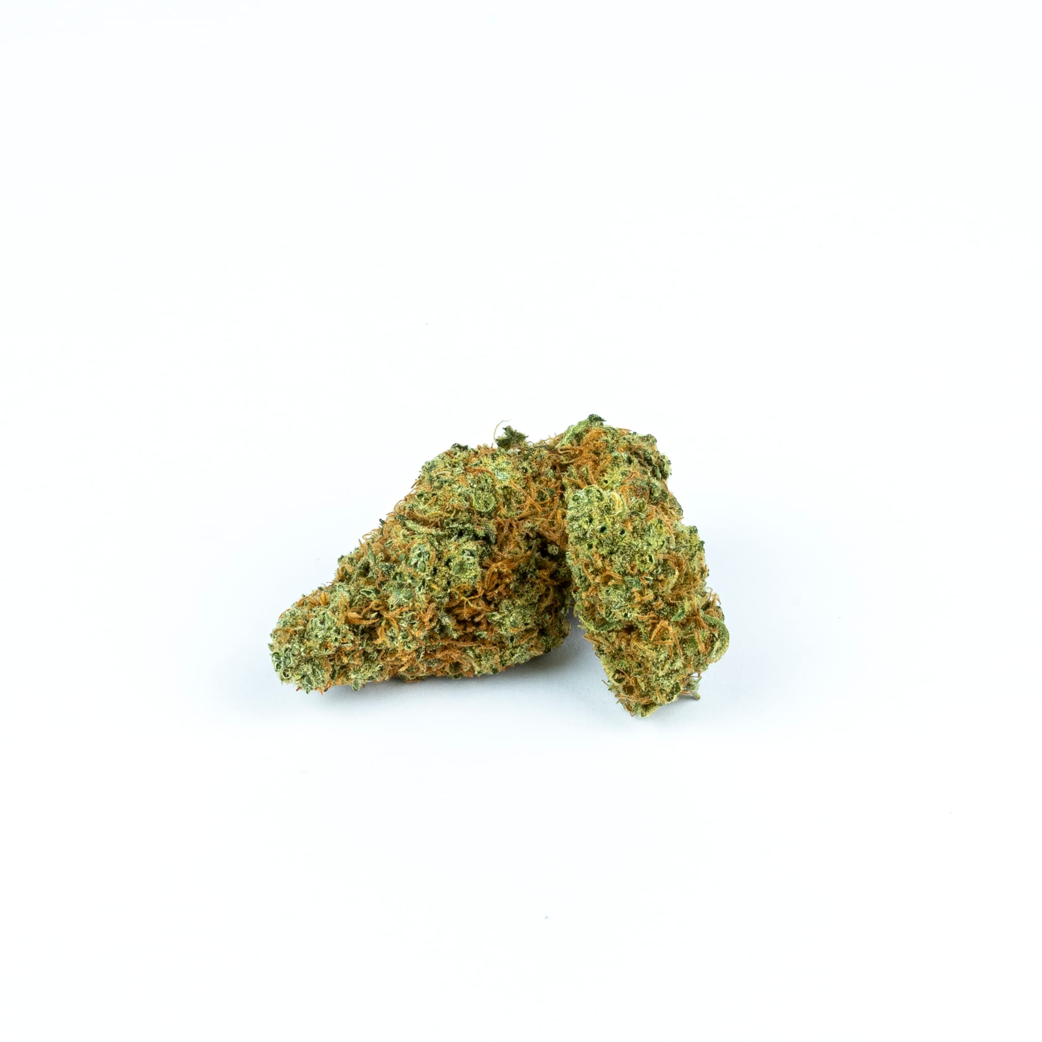 Tropical haze