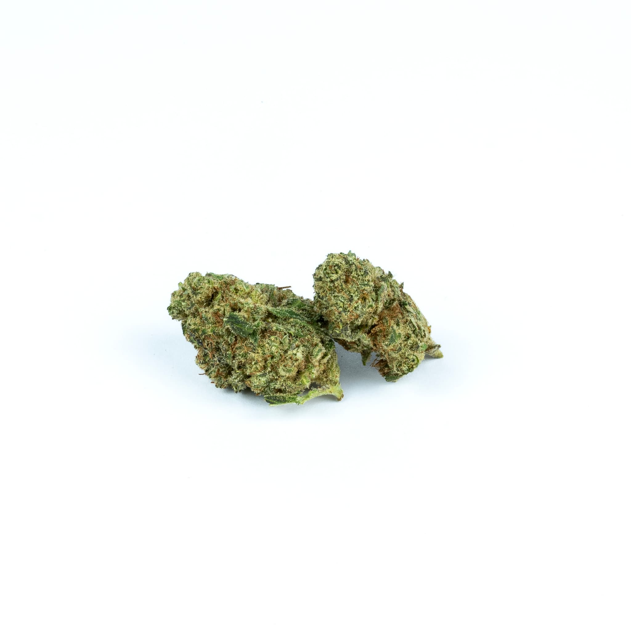 Pink panther 10gr
