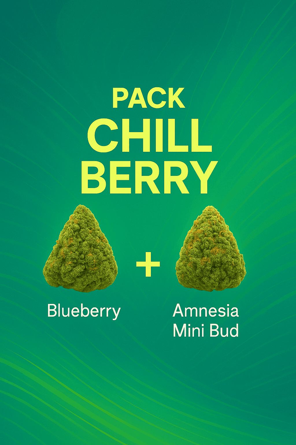 Pack CHILL BERRY 10gr+10gr