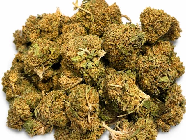 Bubbah Kush Greenhousse 10gr