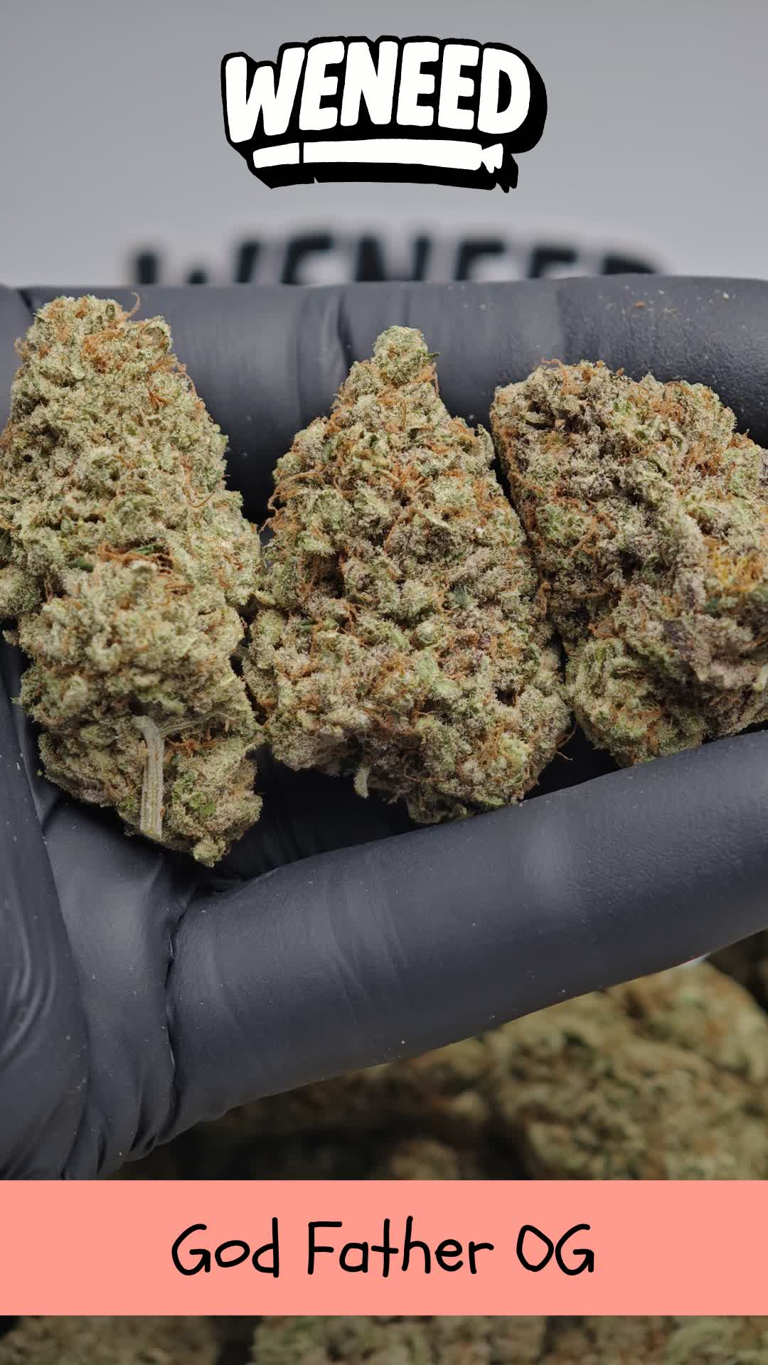 God Father OG CBD Indoor
