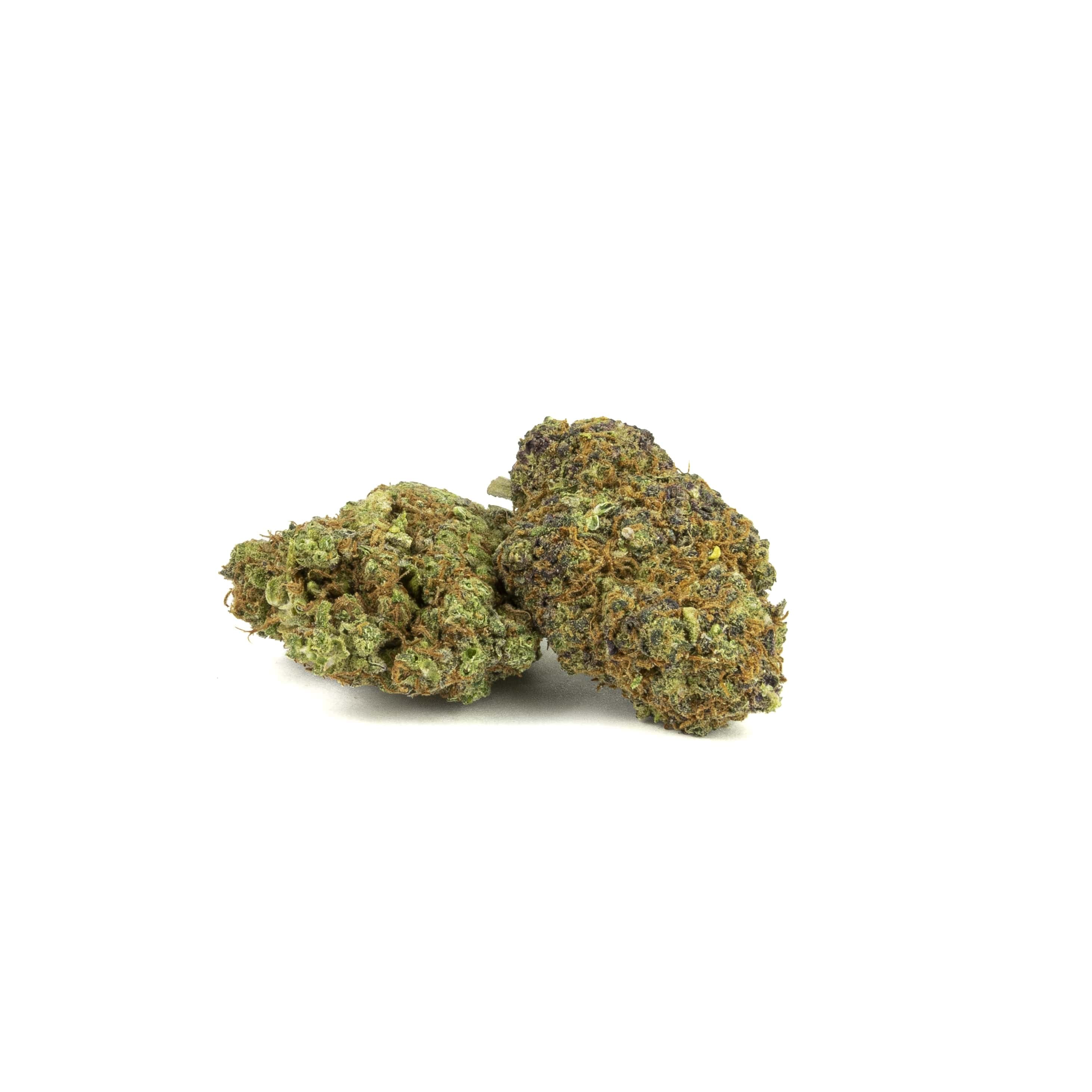 Gorilla mandarine