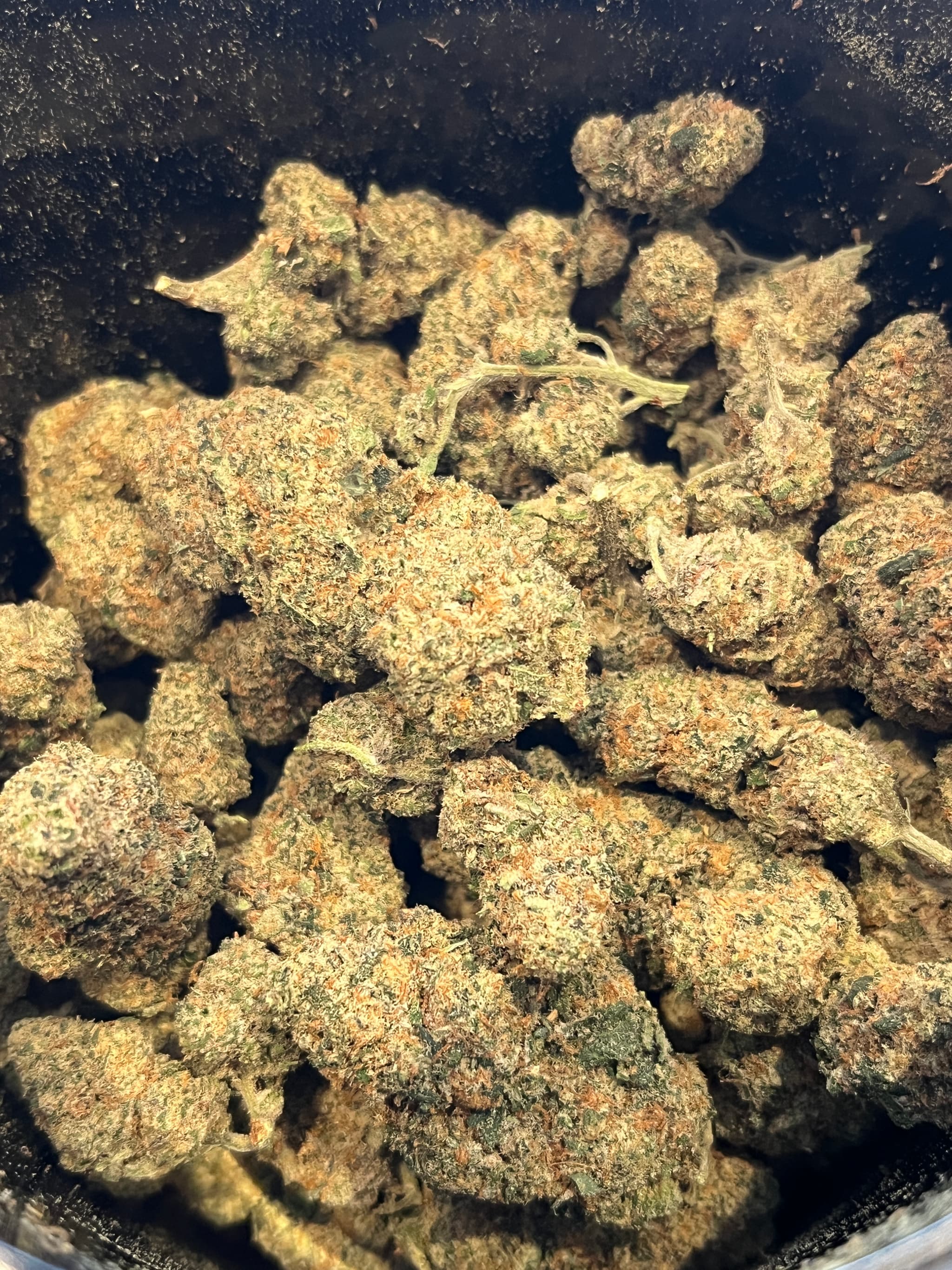 Blue cheese CBD Indoor Premuim