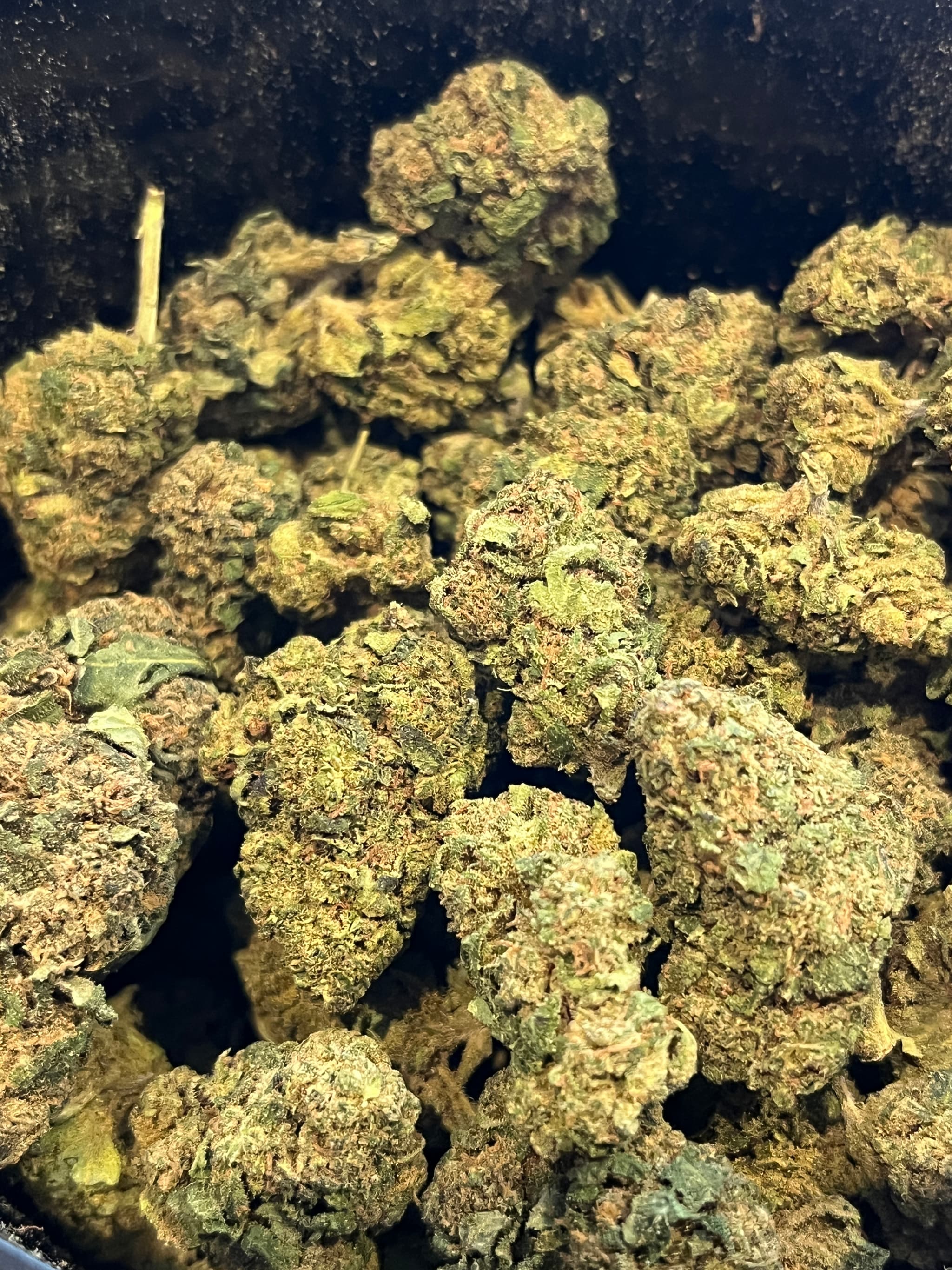 Pineapple CBD Greenhouse 10gr