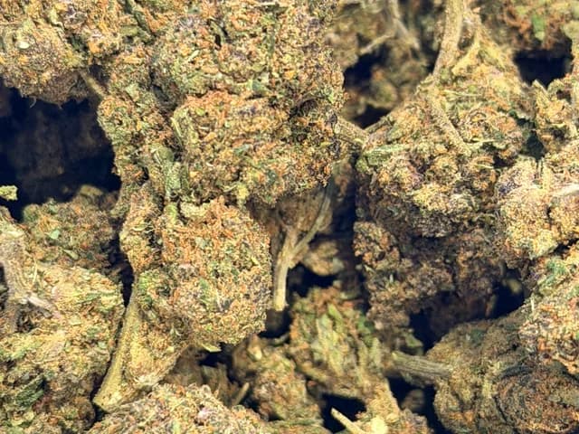 Violet haze CBD Greenhouse 10gr