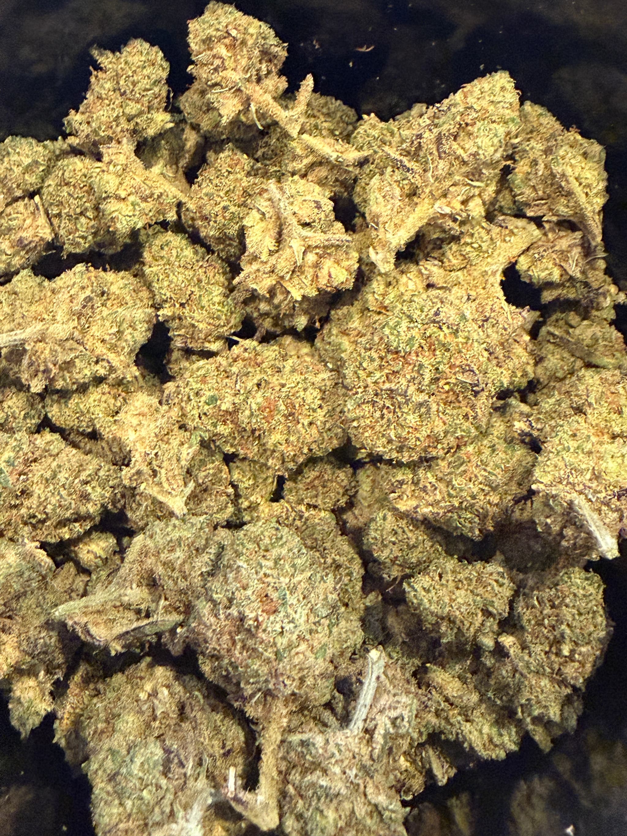 Candy Cali CBD Indoor 10gr