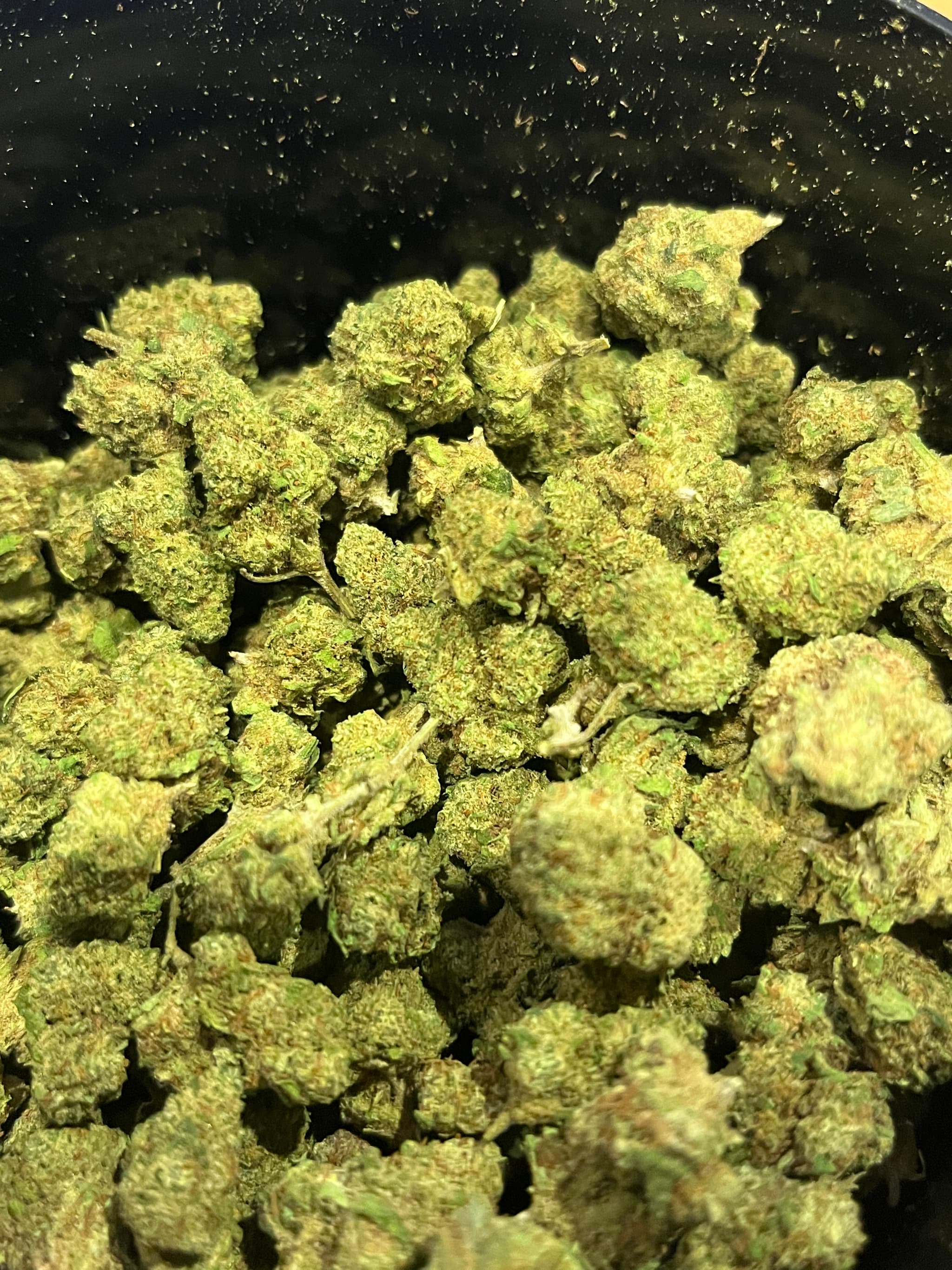 California Mini 10gr