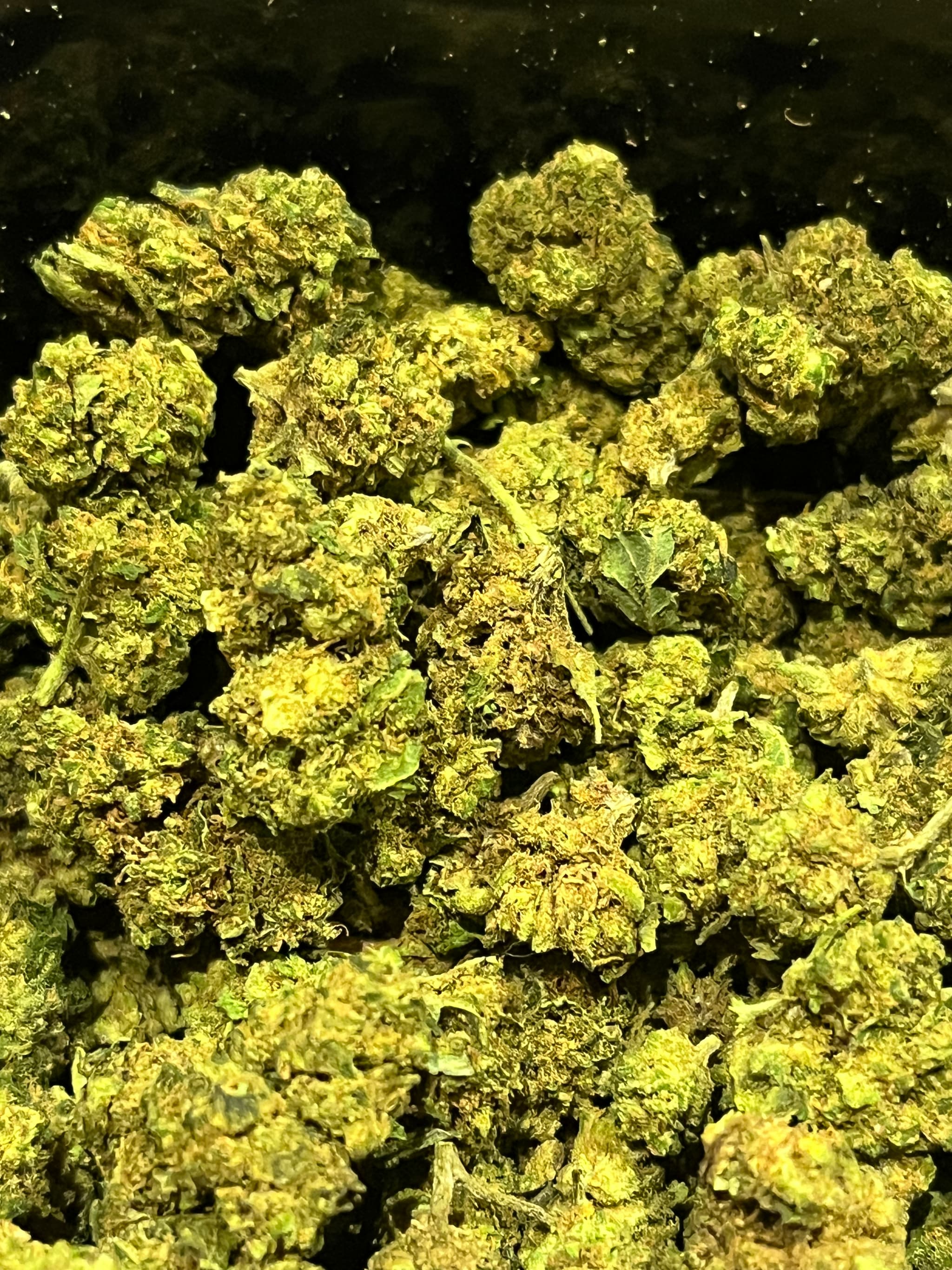 Mini bud francaises 10gr