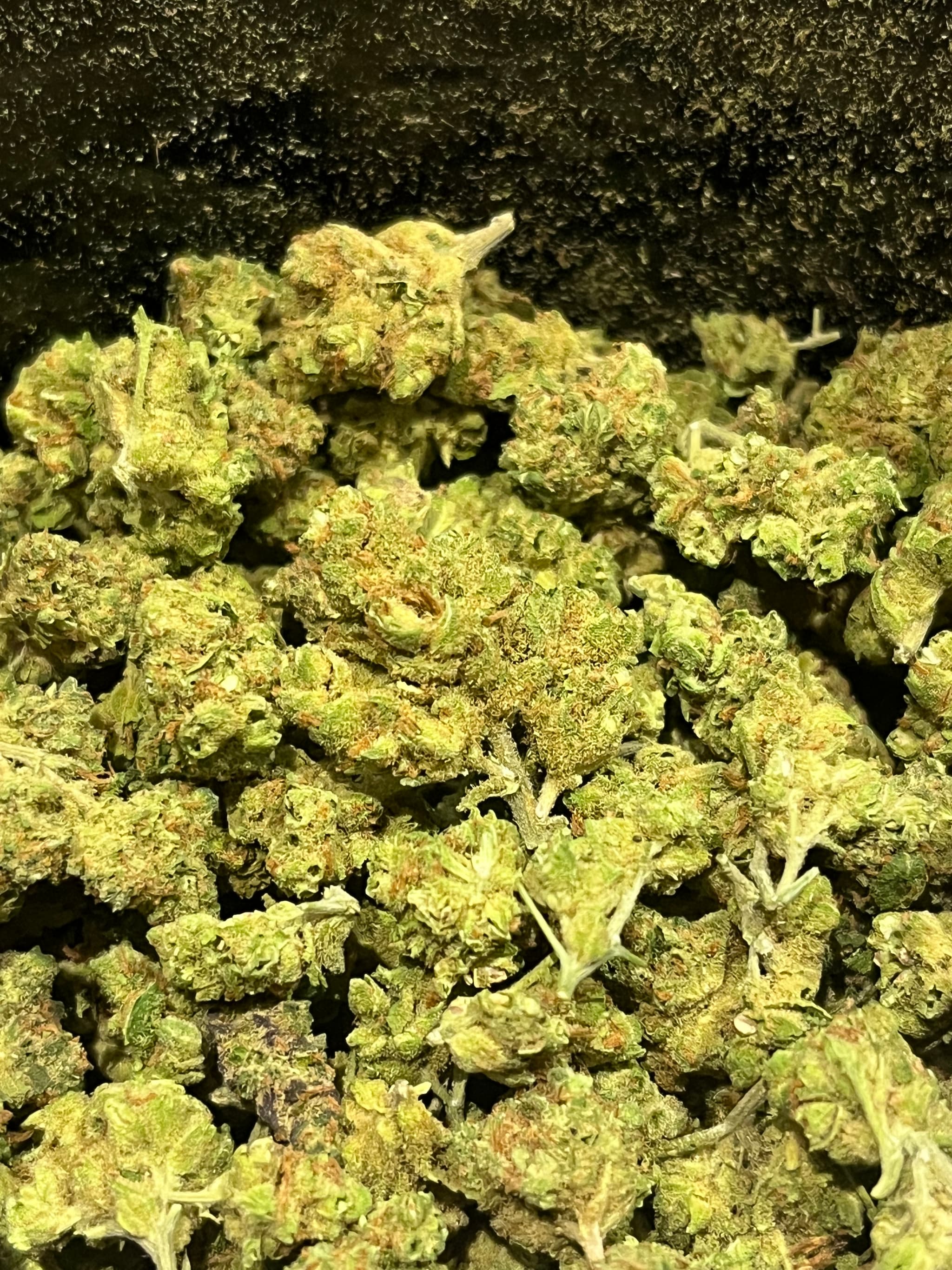 Amnesia meduim Bud  10g