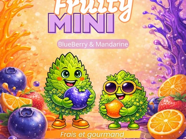 Pack Fruity mini 10gr+10gr