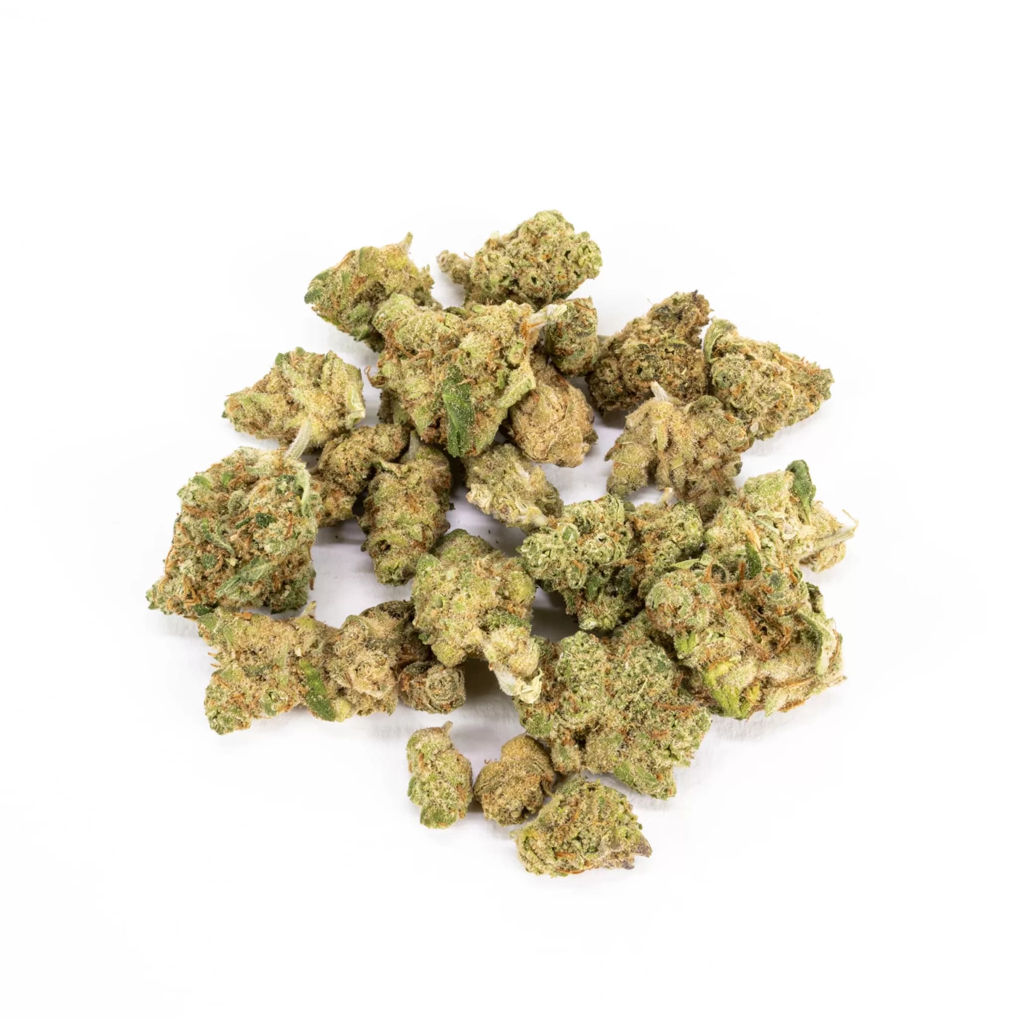 Amnesia meduim Bud  10g