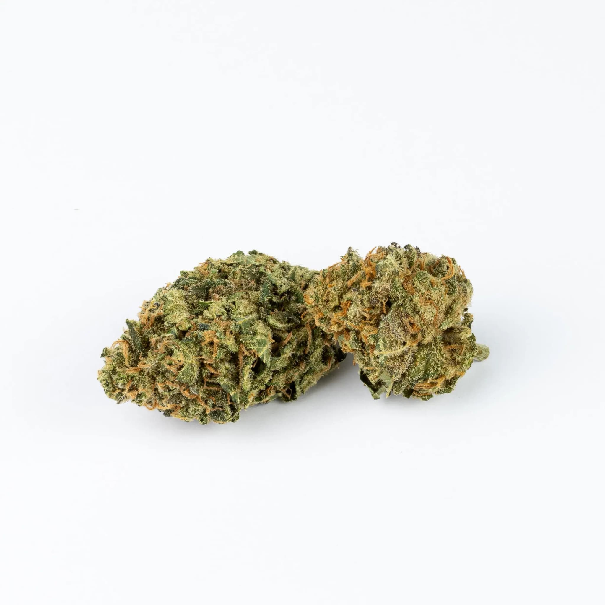 Cannatonic Indoor / Greenhouse