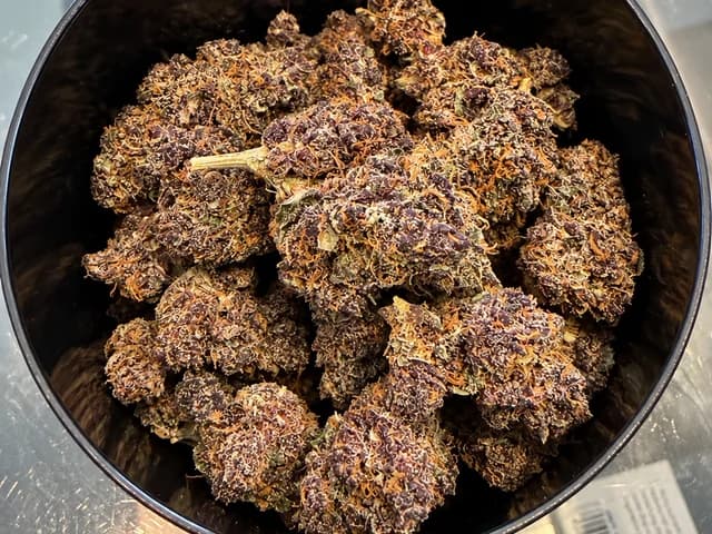 Tarmac Indoor CBD