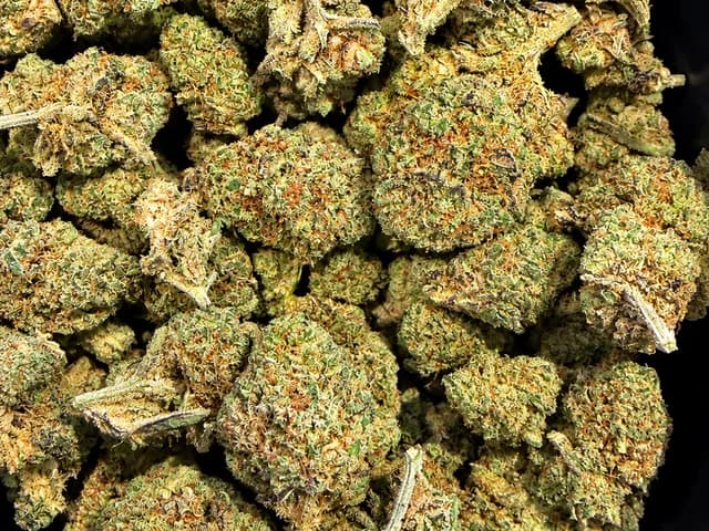 Candy Cali CBD Indoor 10gr