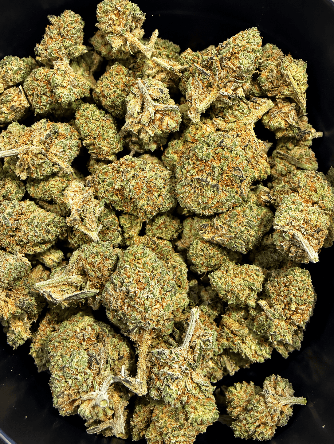 Candy Cali CBD Indoor 10gr