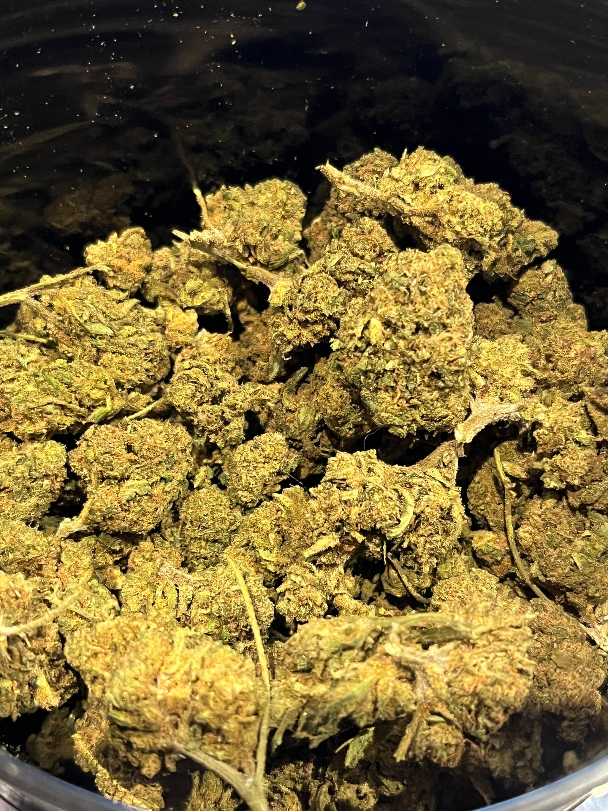 Candy melon CBD Greenhousse