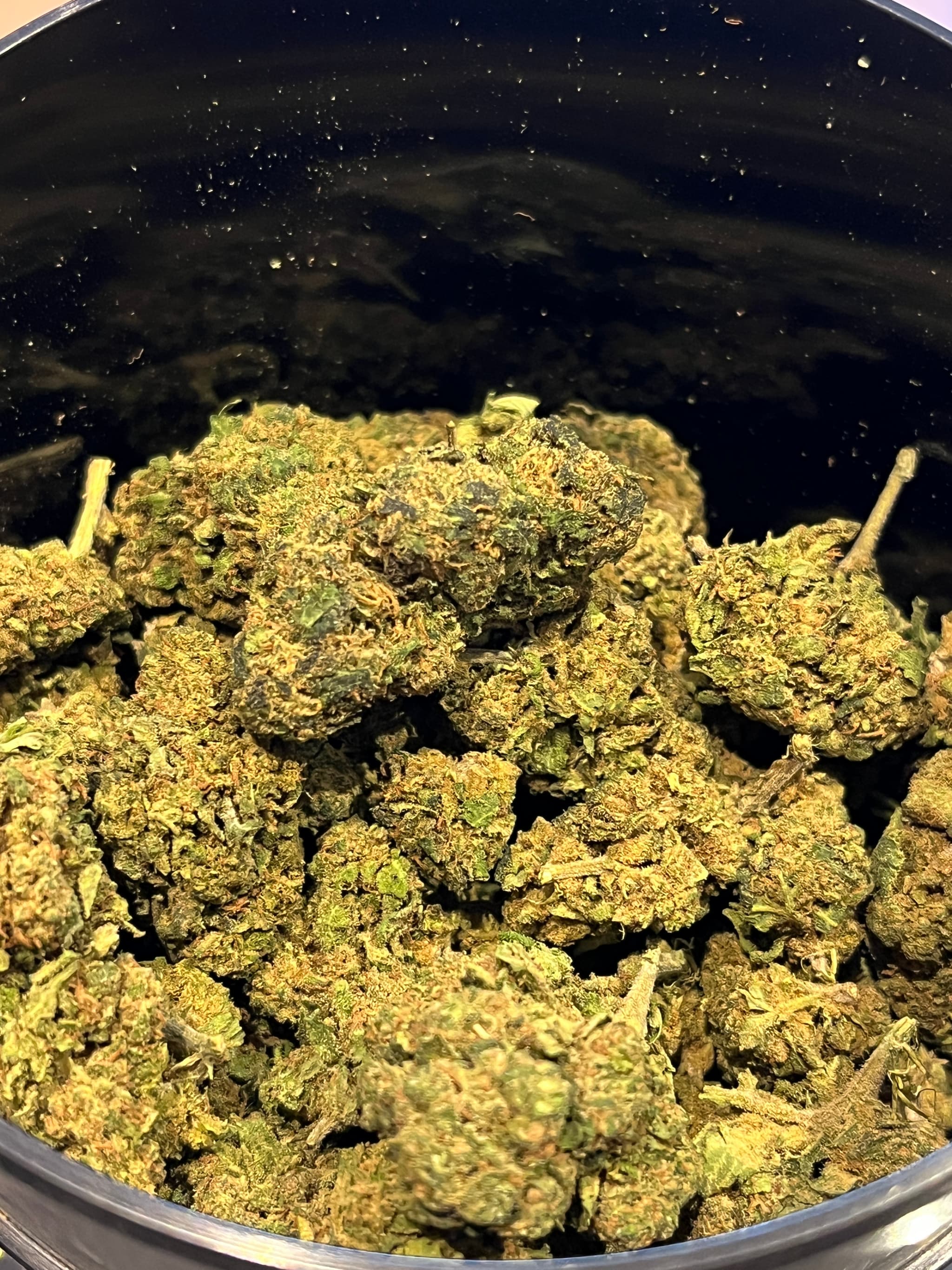 Biscotti CBD Greenhouse