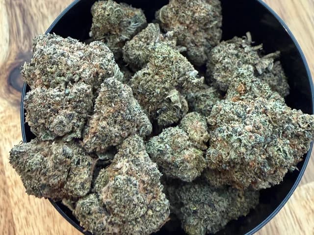 Toad venom CBD Indoor premuim