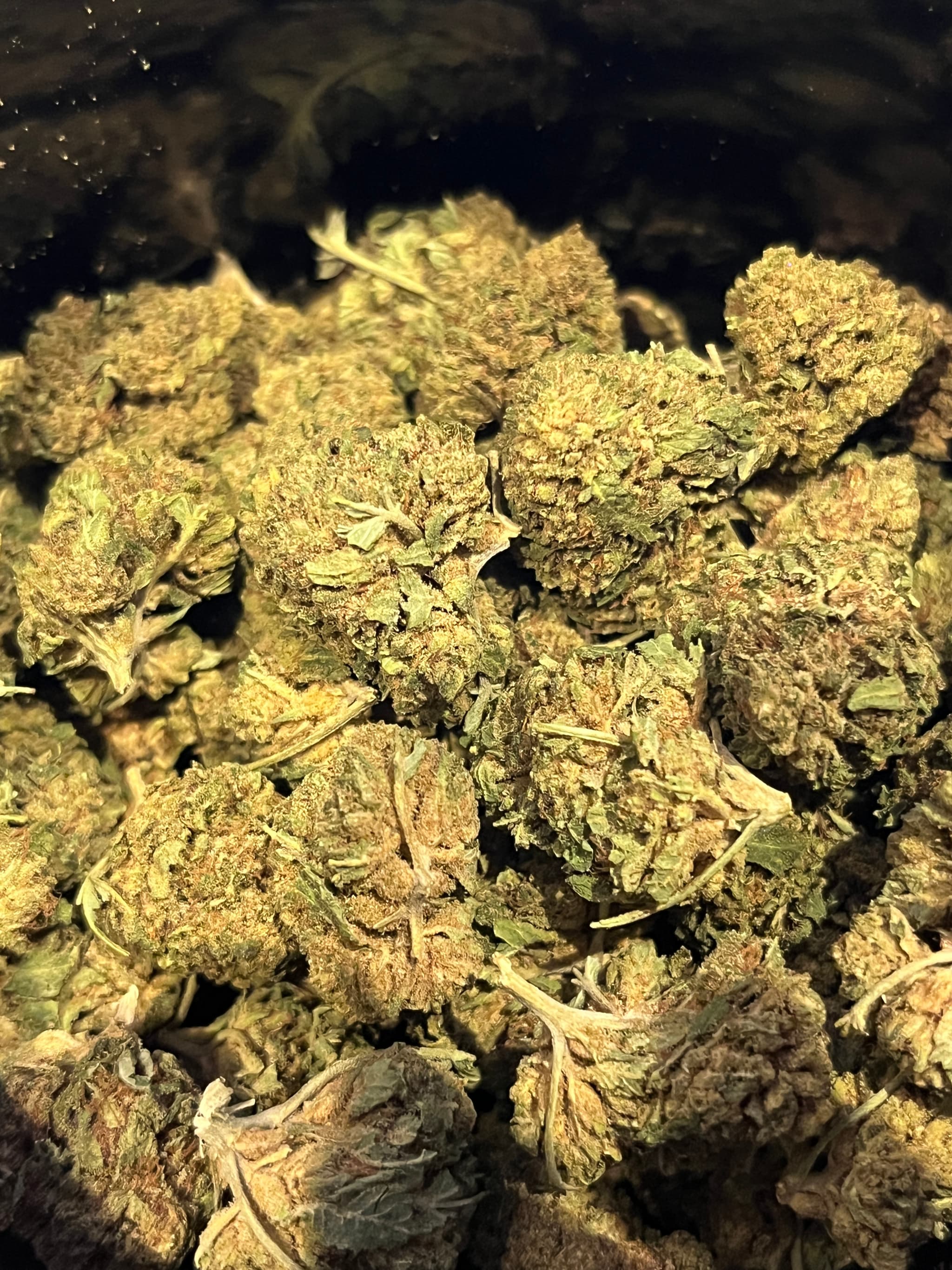 Bubbah Kush Greenhousse 10gr