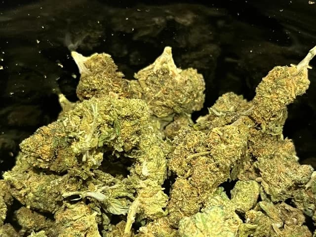 Supermix CBD Indoor & Greenhouse – Mélange de fleurs