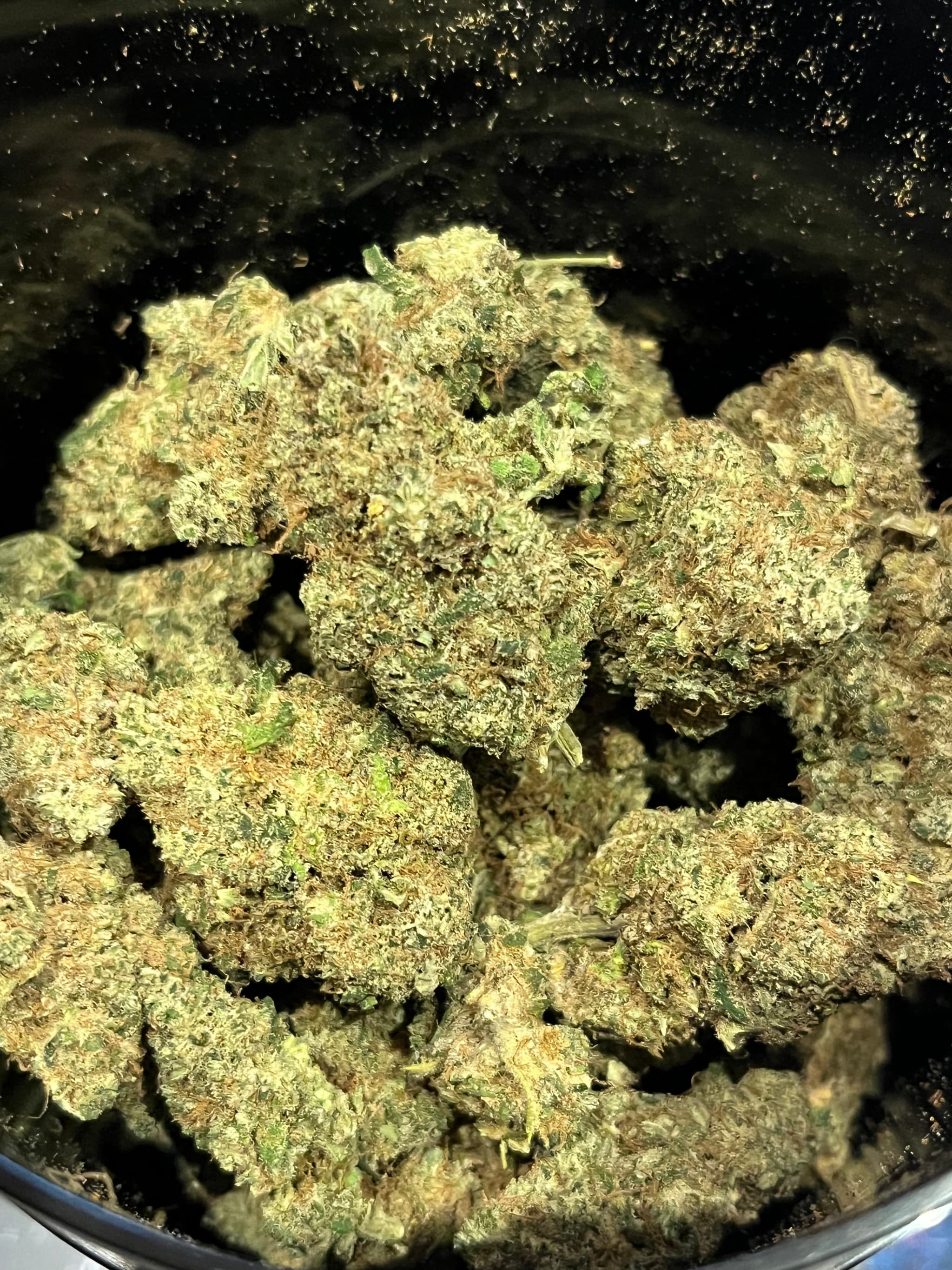 Black gaz 2.0 CBD Indoor