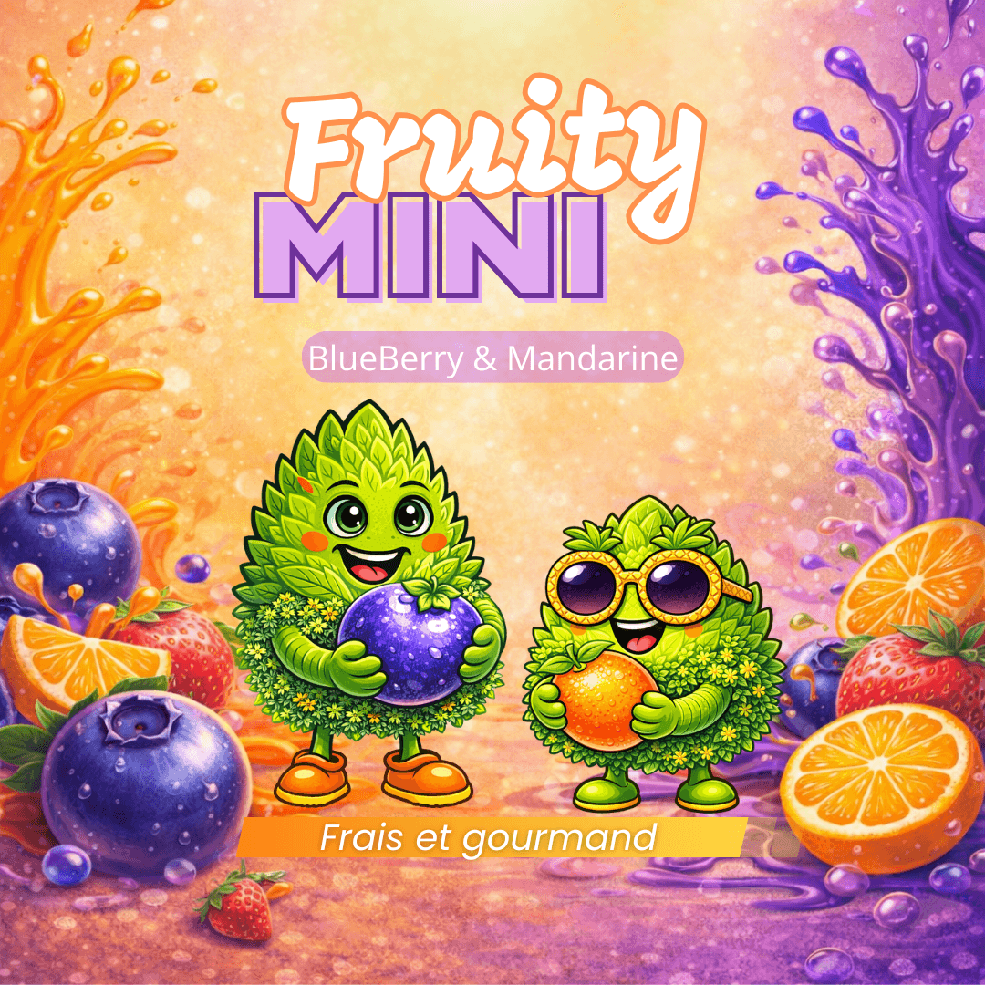 Pack Fruity mini 10gr+10gr