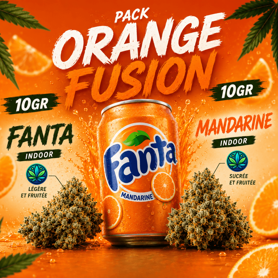 Pack Orange fusion 10gr + 10gr mini bud
