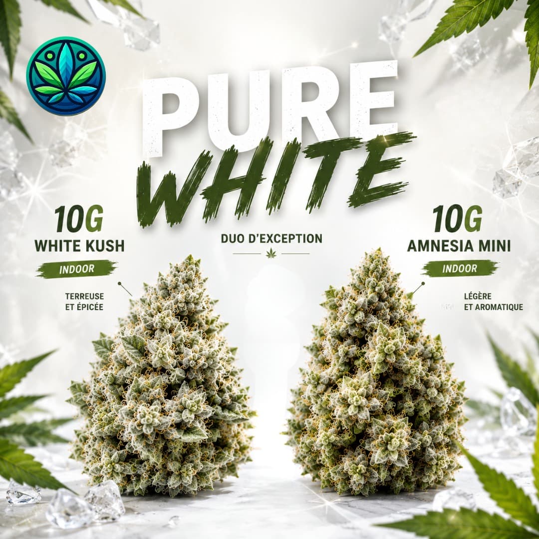 Pack Pure white 10gr +10gr